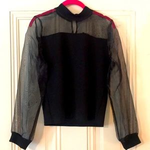 BB Dakota Sheer Sleeved Blouse